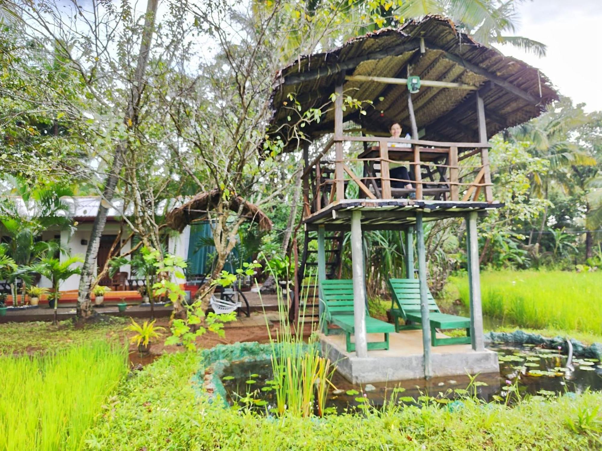 Lake Wind Habarana Exterior foto